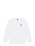 PICTURE ORGANIC CLOTHING - Kenoma Ls Tee - Spordi pikkade varrukatega topid - M