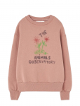 THE ANIMALS OBSERVATORY - Flowers Dusty Coral Bear Sweatshirt - Dressipluusid - 10 Y