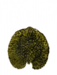 Costa Nova - Bladfad Alchemille - Dekoratiivsed vaagnad - 17.6X 17CM