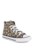 Converse - Ctas Hi Hay Day/Honey Stick/Black - K&otilde;rge s&auml;&auml;rega tossud - 30