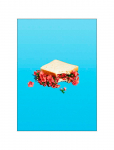 Supermercat - Flower Sandwich - Botaanika - 50X70CM