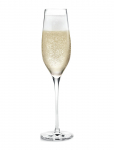 Holmegaard - Cabernet Champagneglas 29 Cl 6 Stk. - &Scaron;ampanjaklaasid - 29 CL