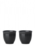 R&ouml;rstrand - Swgr Egg Cup 4Cl Stone 2Pc - Munatopsid - 4 CL