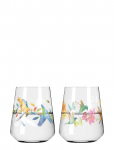 Ritzenhoff - Sommerrausch Waterglass 2-Pack - Joogiklaasid - 50 CL