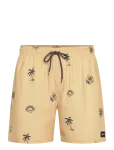 Rip Curl - Sessions Volley - Spordi ujumisp&uuml;ksid - XXL