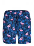 Jack & Jones - Jpstmaui Vibes Novelty Aop Swim Short Sn - L&uuml;hikesed p&uuml;ksid - XXL