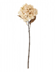 Bloomingville - Hydrangea Stem - Kuivatatud ja kunstlilled - H65CM