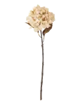 Bloomingville - Hydrangea Stem - Kuivatatud ja kunstlilled - H65CM