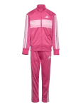 Adidas Sportswear - Lk 3S Tib Ts - Dressikomplektid - 116