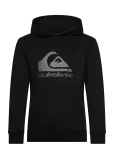 Quiksilver - Comp Logo Hoodie Youth - Kapuutsiga pusad - 14