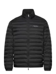 Armani Exchange - Down Jacket - Polsterdatud jakid - XL