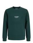 Jack & Jones - Jjesoho Sweat Crew Neck Sn Jnr - Dressipluusid - 176