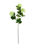 House Doctor - Artificial Flower, Hdviburnum, Gree - Kuivatatud ja kunstlilled - 15X60CM