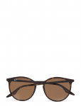 Ray-Ban - 0Rb2204 - &Uuml;mara raamiga p&auml;ikeseprillid - 54
