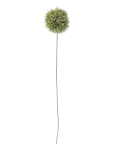 Bloomingville - Allium Stem - Kuivatatud ja kunstlilled - H63CM