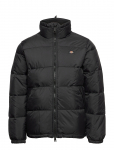 Dickies - Waldenburg Jacket - Polsterdatud jakid - XXL