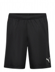 PUMA - Individualliga Training Shorts 2 (Open Pockets) - Spordi l&uuml;hikesed treeningp&uuml;ksid - XXL