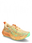 Asics - Noosa Tri 16 - Spordi jooksujalatsid - 42.5