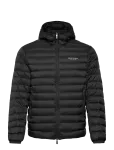 Armani Exchange - Down Jacket - Polsterdatud jakid - L