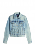 Tommy Jeans - Classic Trucker Ext Bj8012 - L&uuml;hikesed teksap&uuml;ksid - S