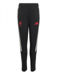 Adidas Performance - Lfc Tr Pnty - Dressip&uuml;ksid - 176