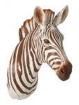 J-Line - Zebra Hanging Resin Brown/White - Seinakaunistused - ONE SIZE