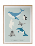 Kunskapstavlan&reg; - P&aring; Nord- Och Sydpolen - Posters - 30X40CM