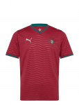 PUMA - Fpf Home Jersey Replica - Spordi jalgpallis&auml;rgid - L