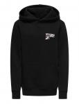 ONLY & SONS - Osjsawyer Paradiso Reg Ls Hoodie Swt - Kapuutsiga pusad - 134-140