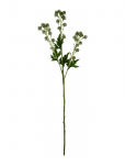 House Doctor - Artificial Branch, Hdsedum, Green - Kuivatatud ja kunstlilled - 20X 80CM