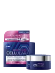 Nivea - Cellular Expert Filler Night Cream - &Ouml;&ouml;kreemid - 50 ML
