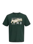 Jack & Jones - Jjelogo Tee Ss O-Neck 2 Col Aw26 Sn - L&uuml;hikeste varrukatega - S