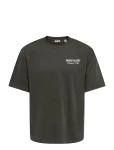 ONLY & SONS - Onsparks Gallery Air Boxy Ss Tee Noos - L&uuml;hikeste varrukatega - XXL