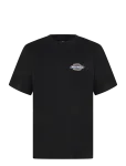 Dickies - Paradise Ss Tee - L&uuml;hikeste varrukatega - XXL