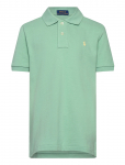 Ralph Lauren Kids - Basic Mesh-Ss Kc-Tp-Knt - L&uuml;hikeste varrukatega polos&auml;rgid - 124-131