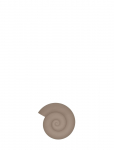 OYOY Living Design - Nautilus Trivet - Salvr&auml;tikur&otilde;ngad ja -hoidjad - 1.2X16.5X15CM