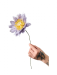 Studio About - Paper Flower - Kuivatatud ja kunstlilled - ONE SIZE
