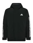 Adidas Sportswear - 3S Hooded Ins J - Spordi polsterdatud jakid - XXL