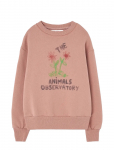 THE ANIMALS OBSERVATORY - Flowers Dusty Coral Bear Sweatshirt - Dressipluusid - 4 Y