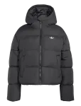Adidas Originals - Hd Jkt - Spordi polsterdatud jakid - S