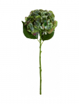 House Doctor - Artificial Flower, Hdhydrangea, Gre - Kuivatatud ja kunstlilled - 20X 50CM