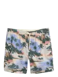 Gant - Reg Printed Ds Shorts - Vabaaja l&uuml;hikesed p&uuml;ksid - S