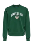 ONLY & SONS - Osjcole College Rlx Ls Crew Neck - Dressipluusid - 134-140