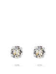 Caroline Svedbom - Classic Stud Earring Rhodium - Needid - ONE SIZE