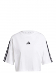 Adidas Sportswear - W 3S Sj Tlr T - Spordi l&uuml;hikeste varrukatega l&uuml;hikesed topid - XL