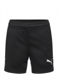 PUMA - Individualliga Training Shorts Jr - Spordi l&uuml;hikesed p&uuml;ksid - 176