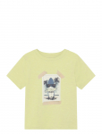 Minymo - T-Shirt Ss - L&uuml;hikeste varrukatega - 116