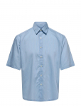 ONLY & SONS - Onsatticus Ss Rlx Stripe Shirt Frml - L&uuml;hikeste varrukatega s&auml;rgid - S