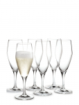 Holmegaard - Perfection Champagneglas 23 Cl 6 Stk. - Wine Glass - 23 CL