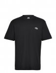 Dickies - Summerdale Ss Tee - L&uuml;hikeste varrukatega - S